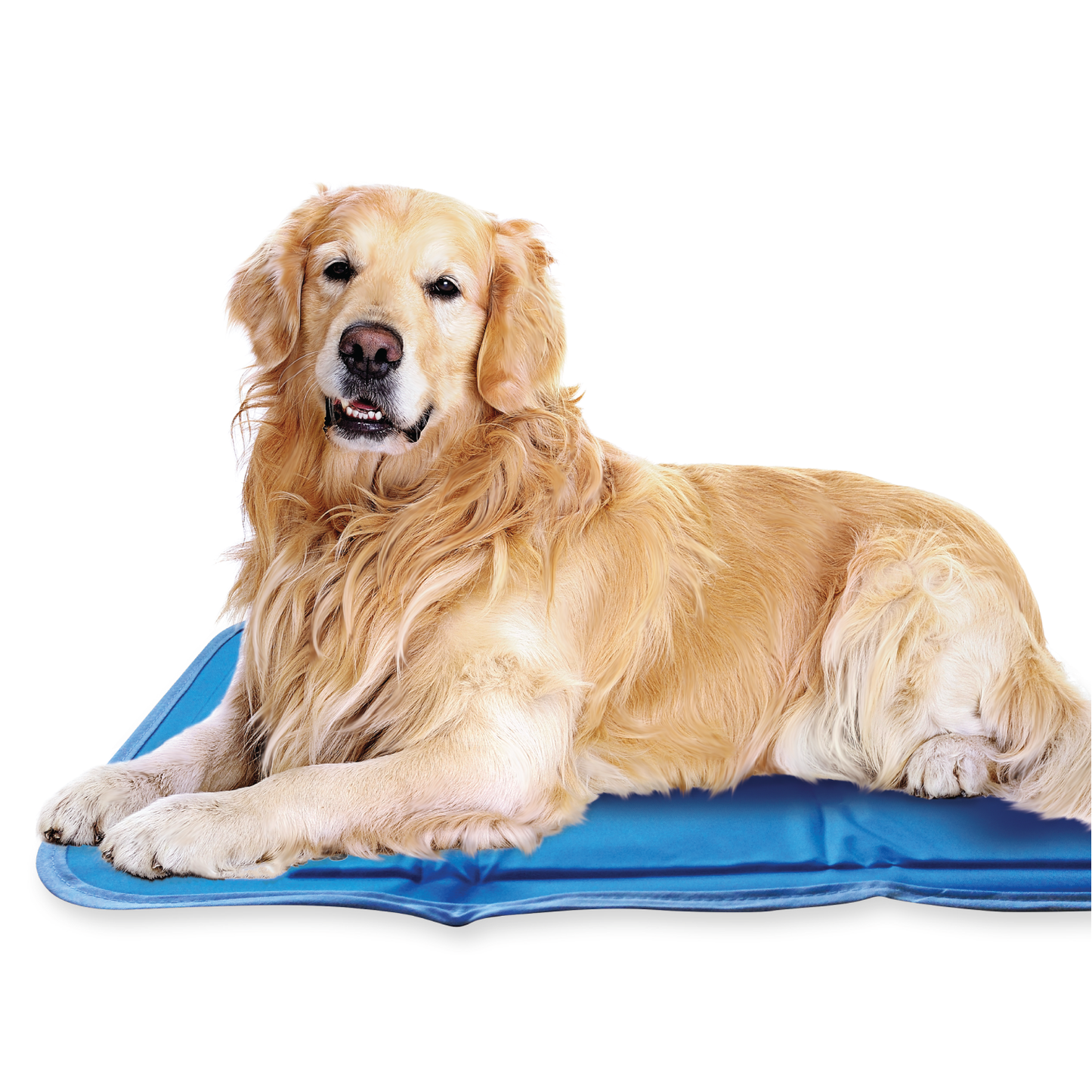 2-Pack Washable Dog Pee Pads – 47"x32" Reusable, Leak-Proof & Non-Slip Mats for Training & Crates – Grey