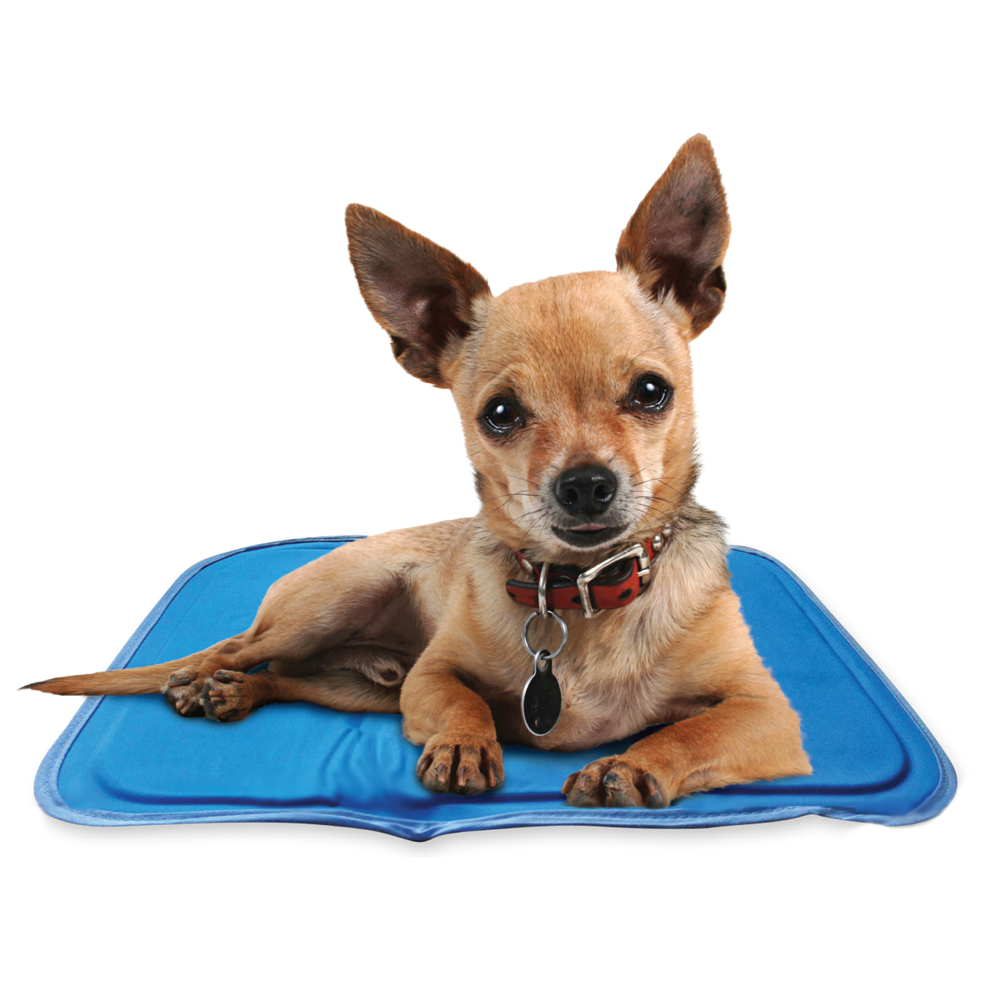 2-Pack Washable Dog Pee Pads – 47"x32" Reusable, Leak-Proof & Non-Slip Mats for Training & Crates – Grey