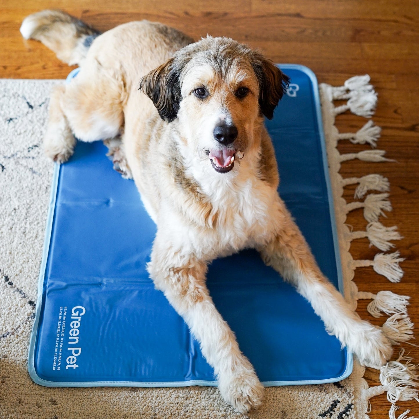 4-Pack Reusable Dog Pee Pads (35"x22") β Washable, Extra Absorbent & Leak-Proof with Non-Slip Base β Ideal for Crates, Playpens, Whelping Boxes & Potty Training β Blue