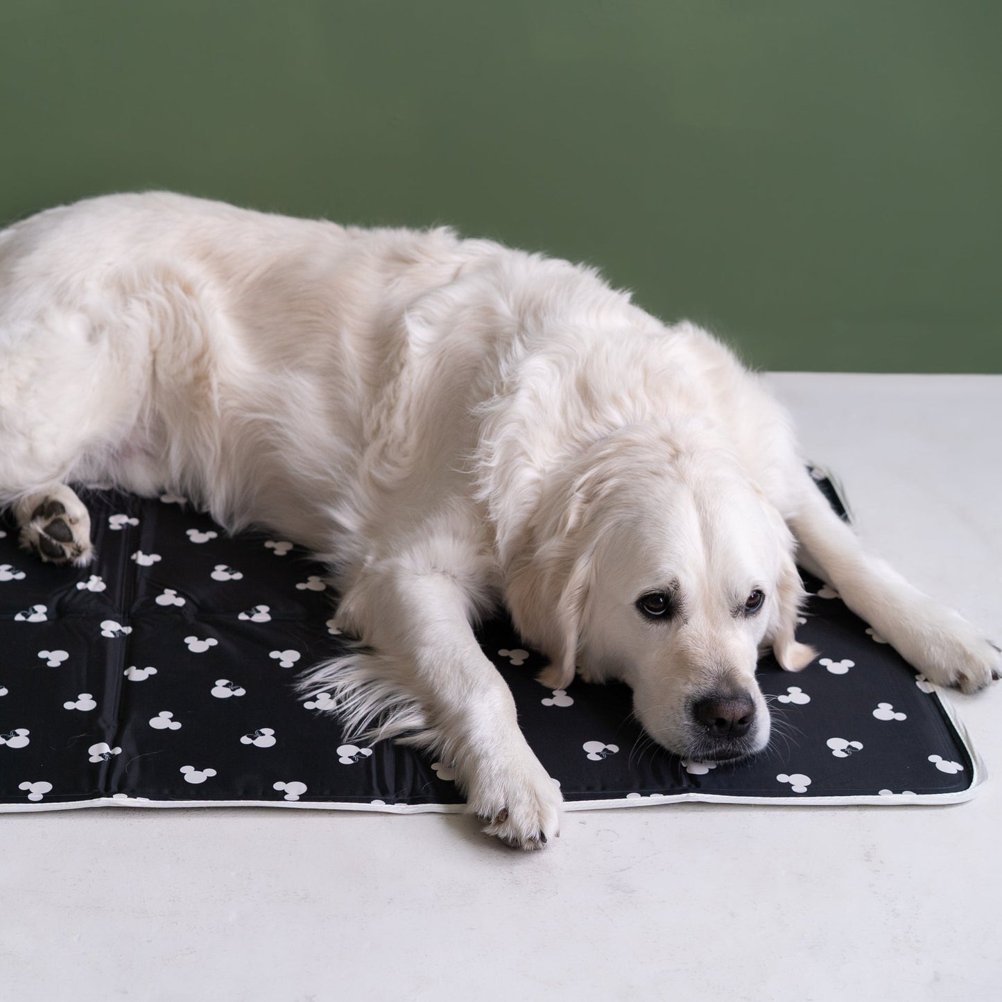 2-Pack Washable Dog Pee Pads – 47"x32" Reusable, Leak-Proof & Non-Slip Mats for Training & Crates – Grey
